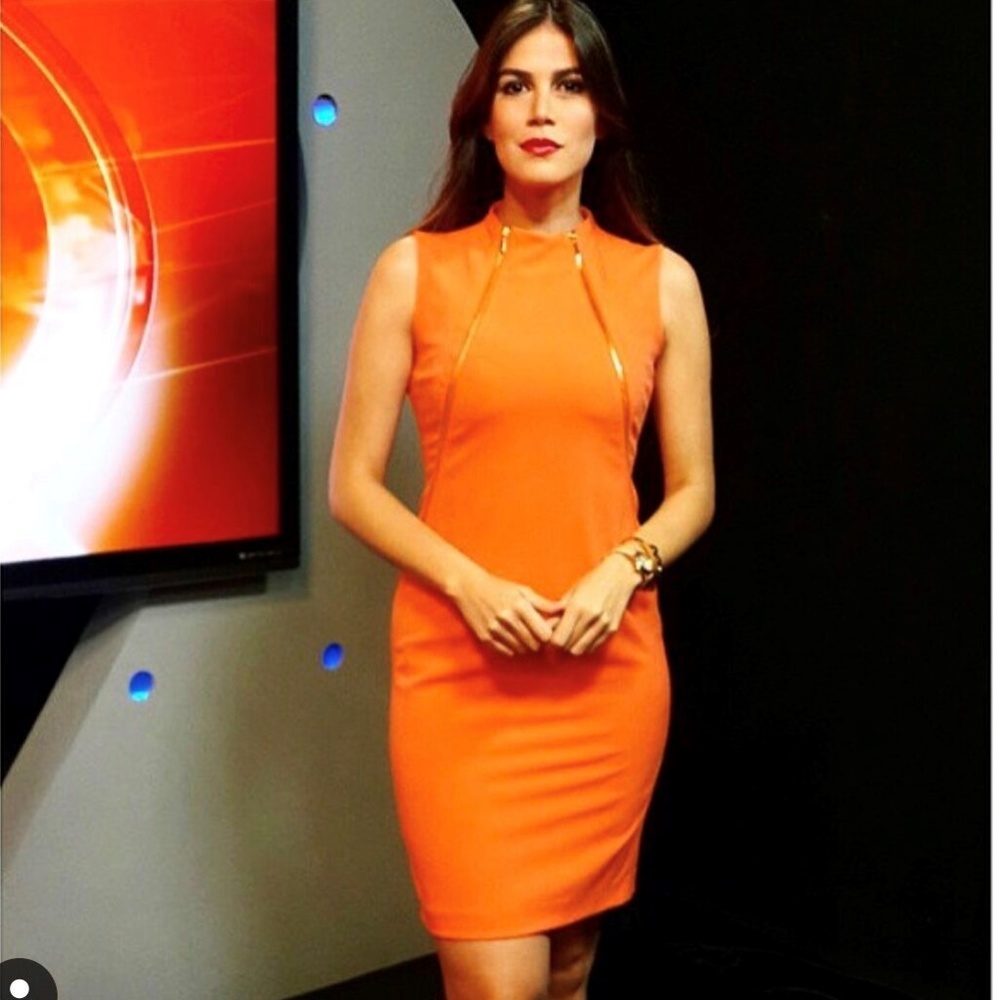 Calvin Klein Orange Dress with Gold Detailing Size
